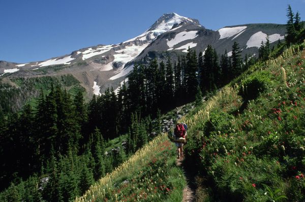 Hiking Çantaları